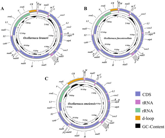 biology-14-01231-g001-550.jpg?