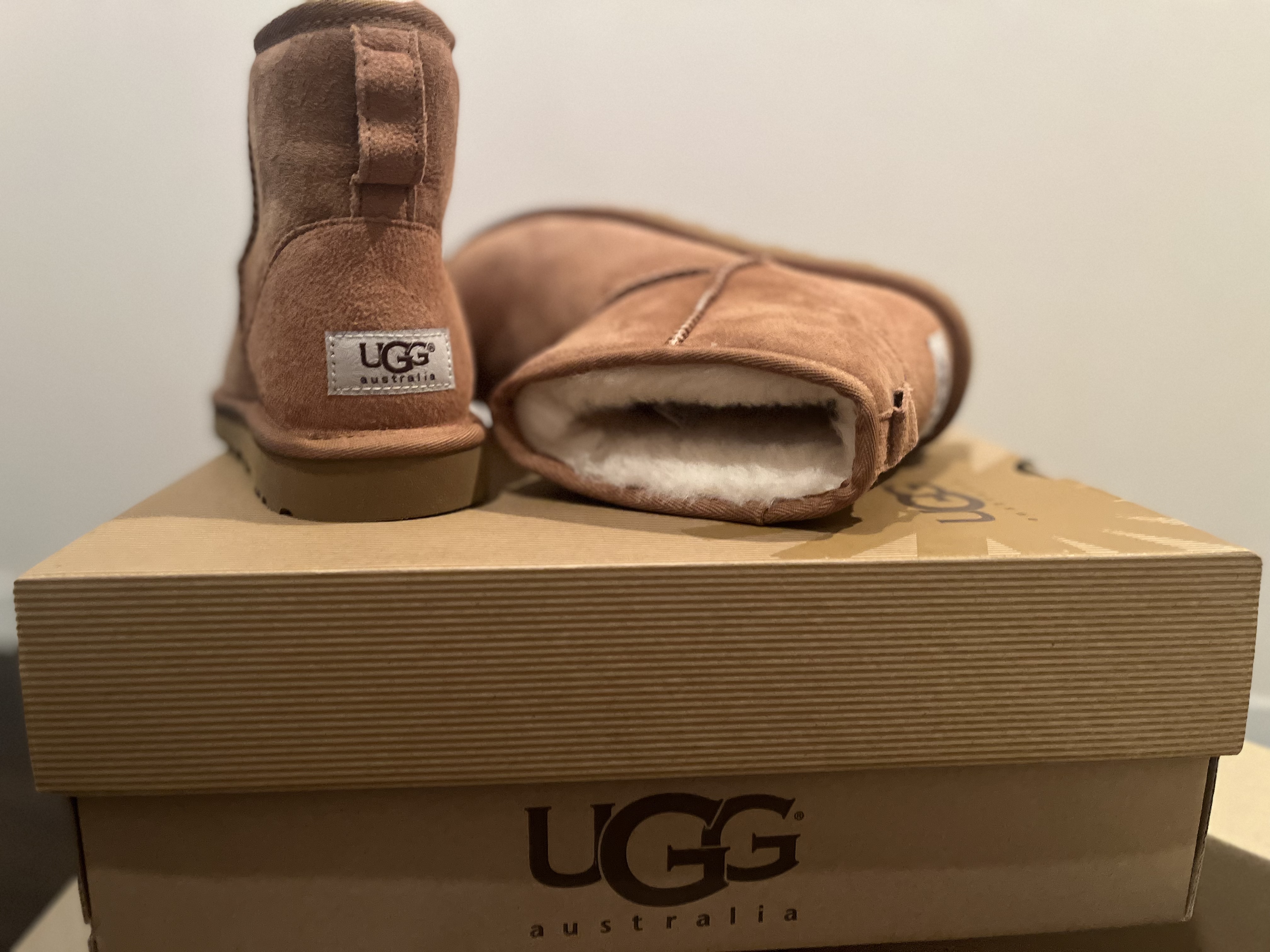 アグ UGG Classic Mini（チョコレート） -靴＆ファッション通販