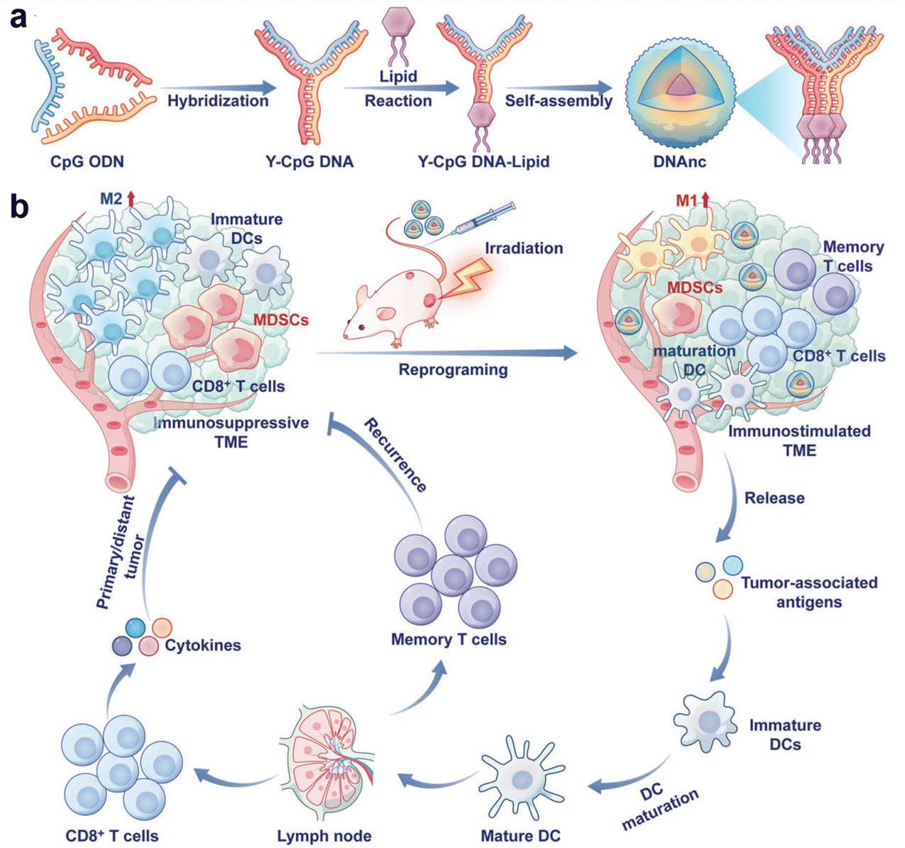 Immunological nanomaterials to combat cancer metastasis - Chemical