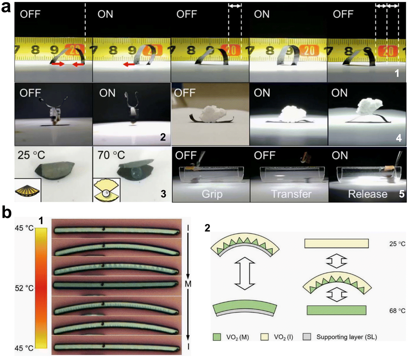 Element doping: a marvelous strategy for pioneering the smart
