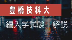 青と白-写真-男-夜遊び-