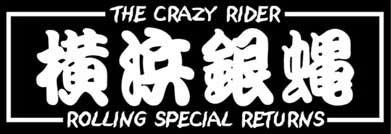 横浜銀蝿40th フィギュア　花札ステッカー 横浜銀蝿・紅麗威甦・花札シールとスマホクリーナー - メルカリ