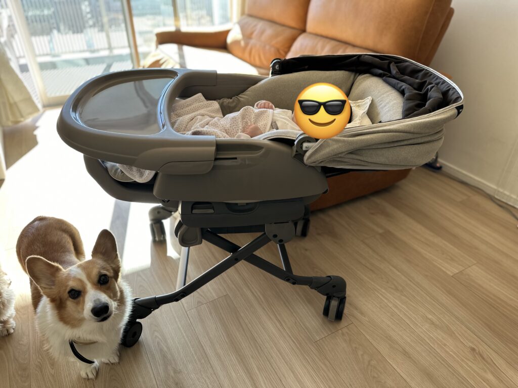 フリマ出品のため11/8まで)コンビ ネムリラ オートスウィング電動