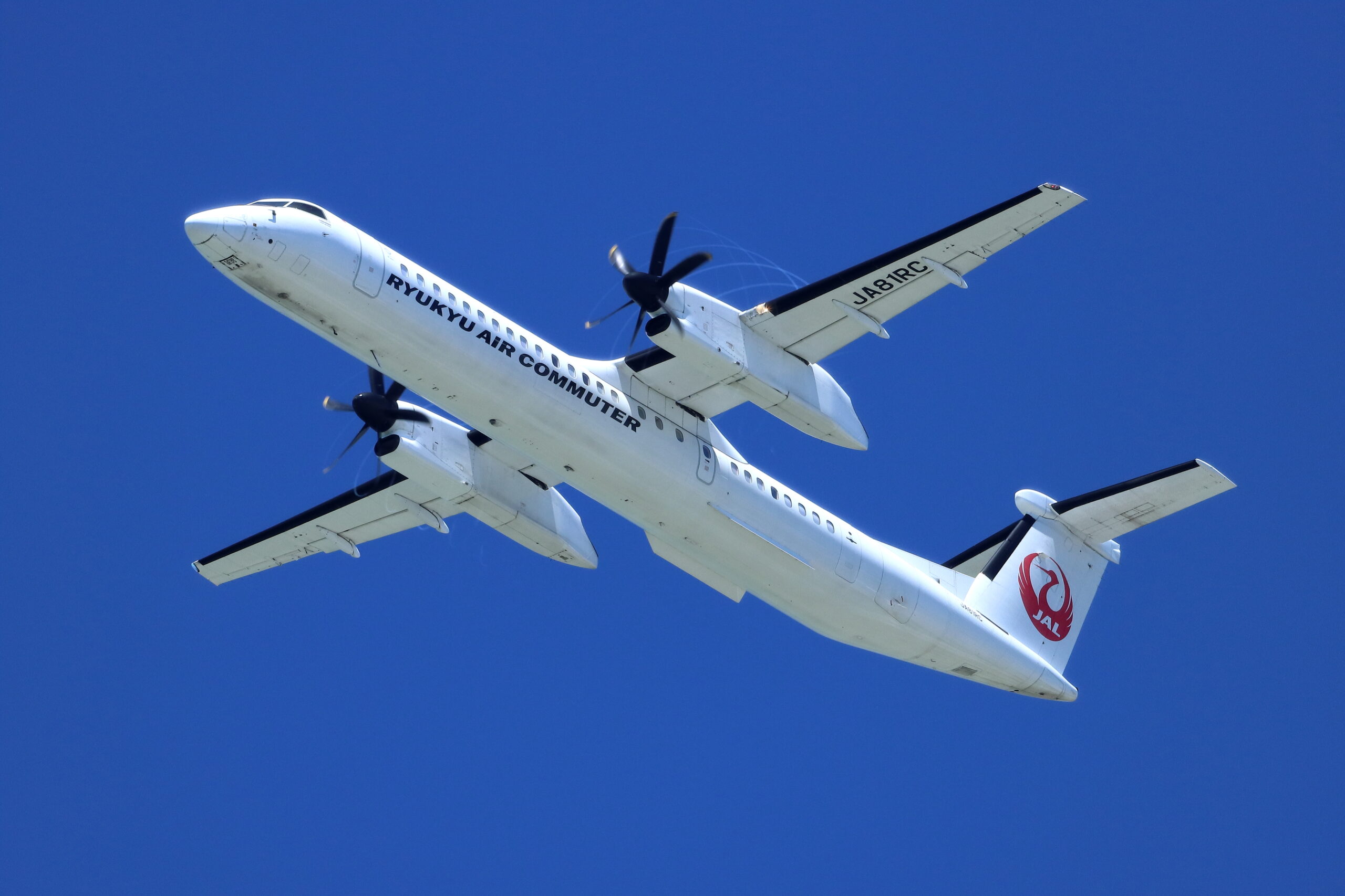 琉球エアーコミューター JAL 日本航空 航空機模型 1/100 琉球エアー