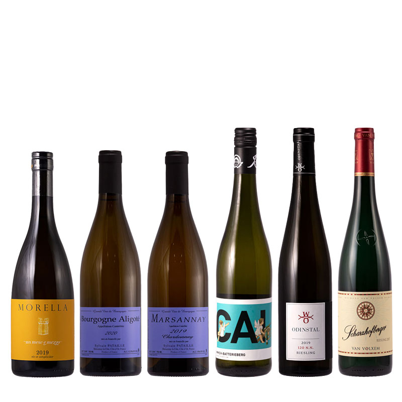限定】白ワインセット 販売開始