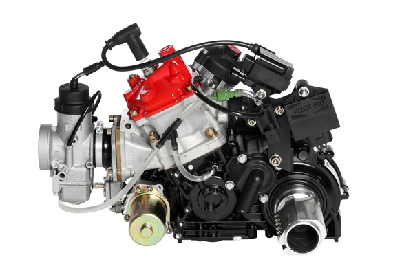 ROTAX MAX | レーシングカートWEB