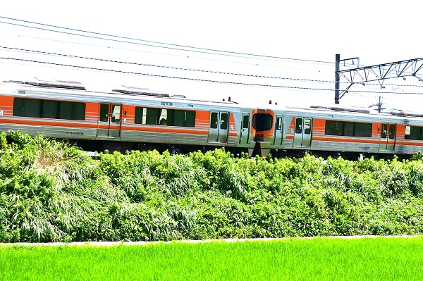 313系8000番代「S編成」（元「セントラルライナー」）が6両で運転