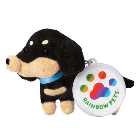 ミニチュアダックスフンド | 株式会社レインボーペット