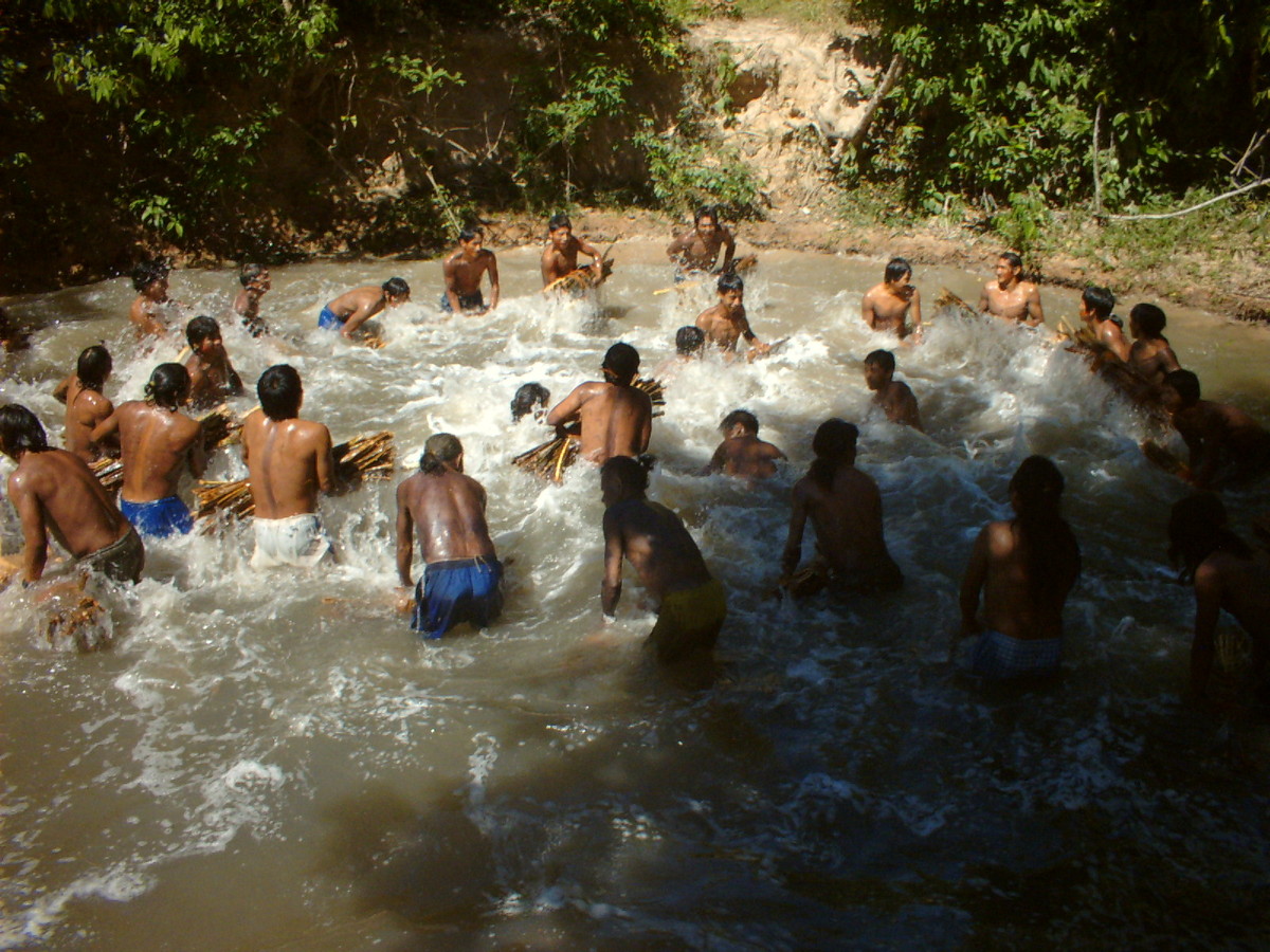 先住民族の生活 | 特定非営利活動法人 熱帯森林保護団体(RFJ)