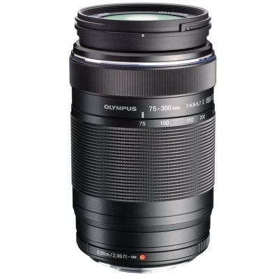 2024年最新版】運動会で使用するオススメのカメラレンズ | カメラ