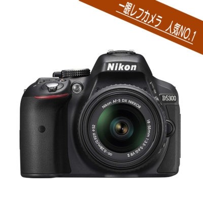 初心者におススメの一眼レフカメラのご紹介 | カメラレンタルの専門店