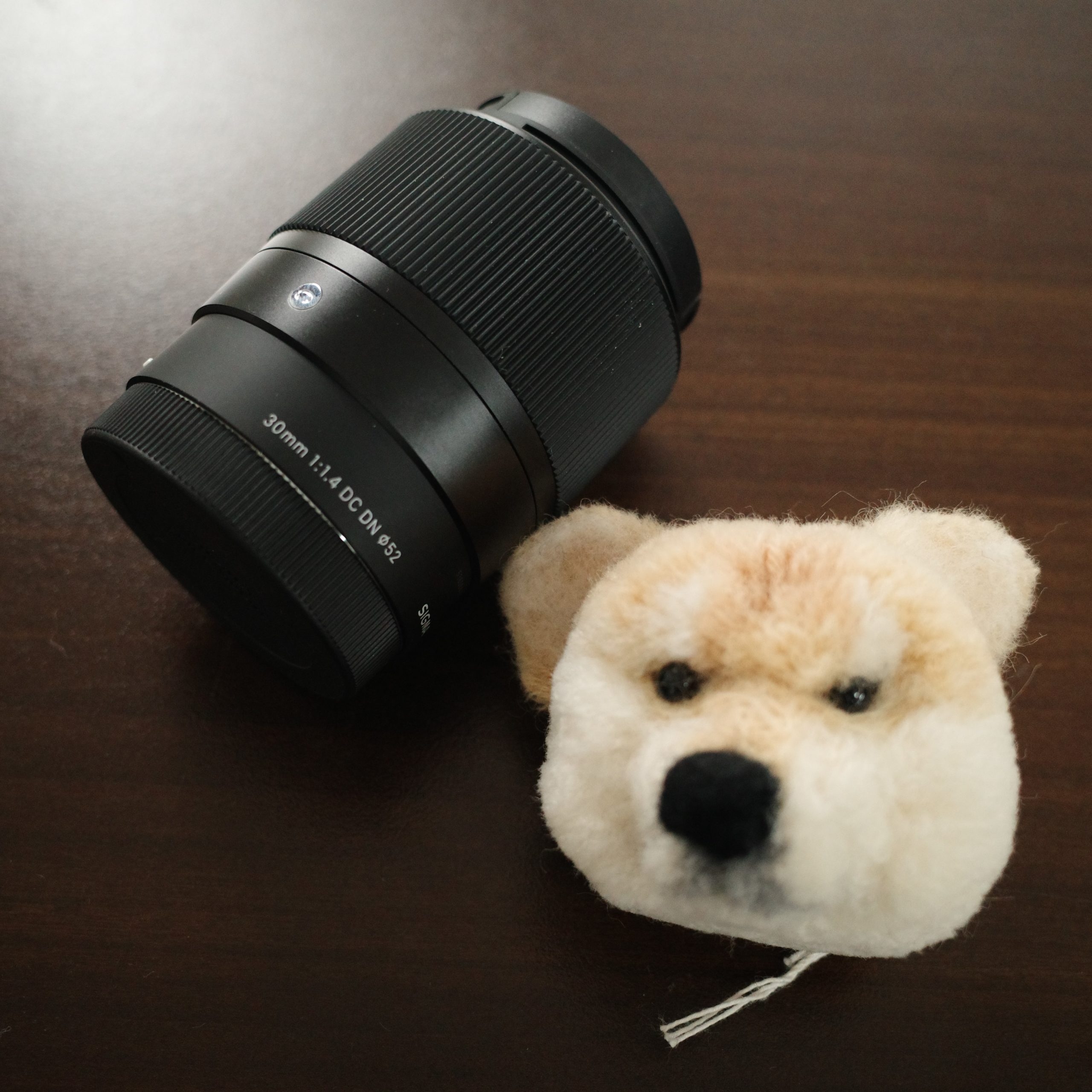 SONYのミラーレスなら使いたい！このレンズ「SIGMA 30mm F1.4 DC DN