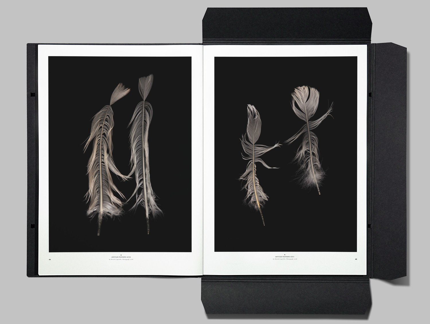 PLETHORA MAGAZINE 8号 - REC TOKYO - プレソラマガジン正規通販・販売店