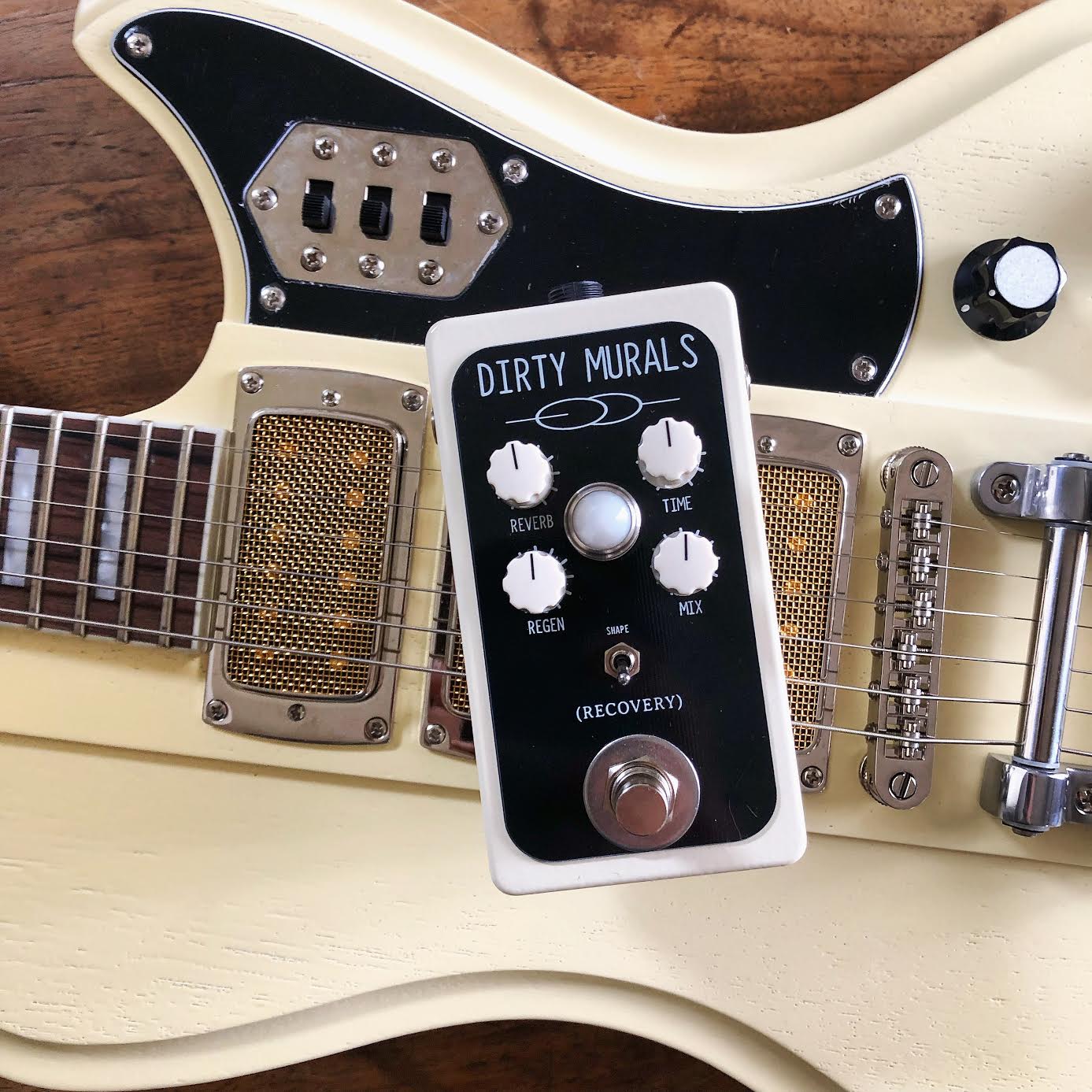 DIRTY MURALS PEDAL (Reverb and Delay) – Recovery Effects and Devices
