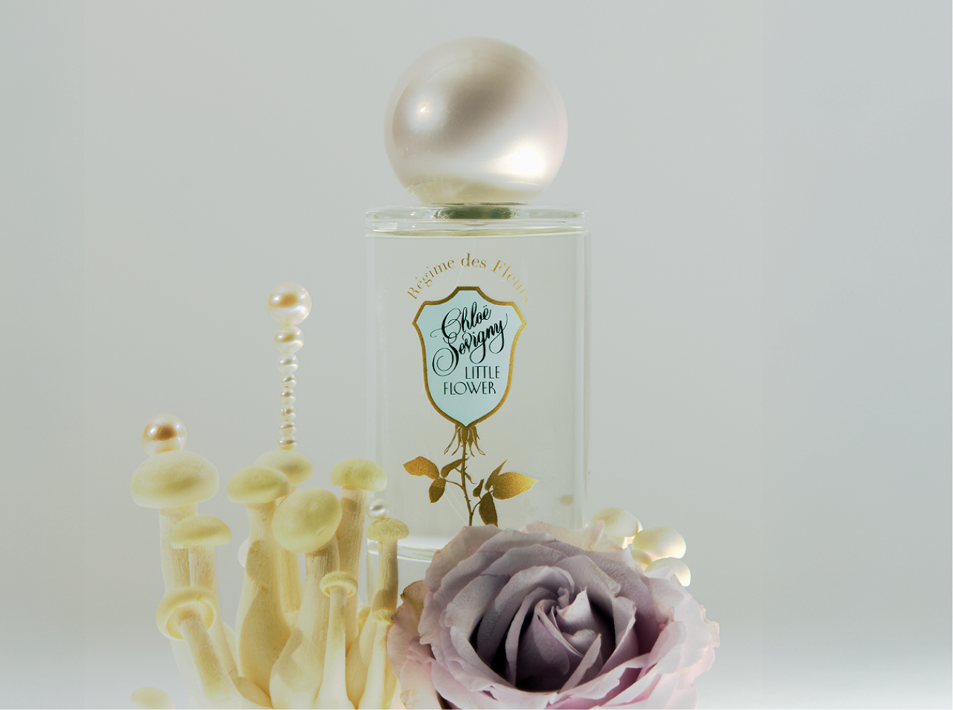 LITTLE FLOWER – Régime des Fleurs