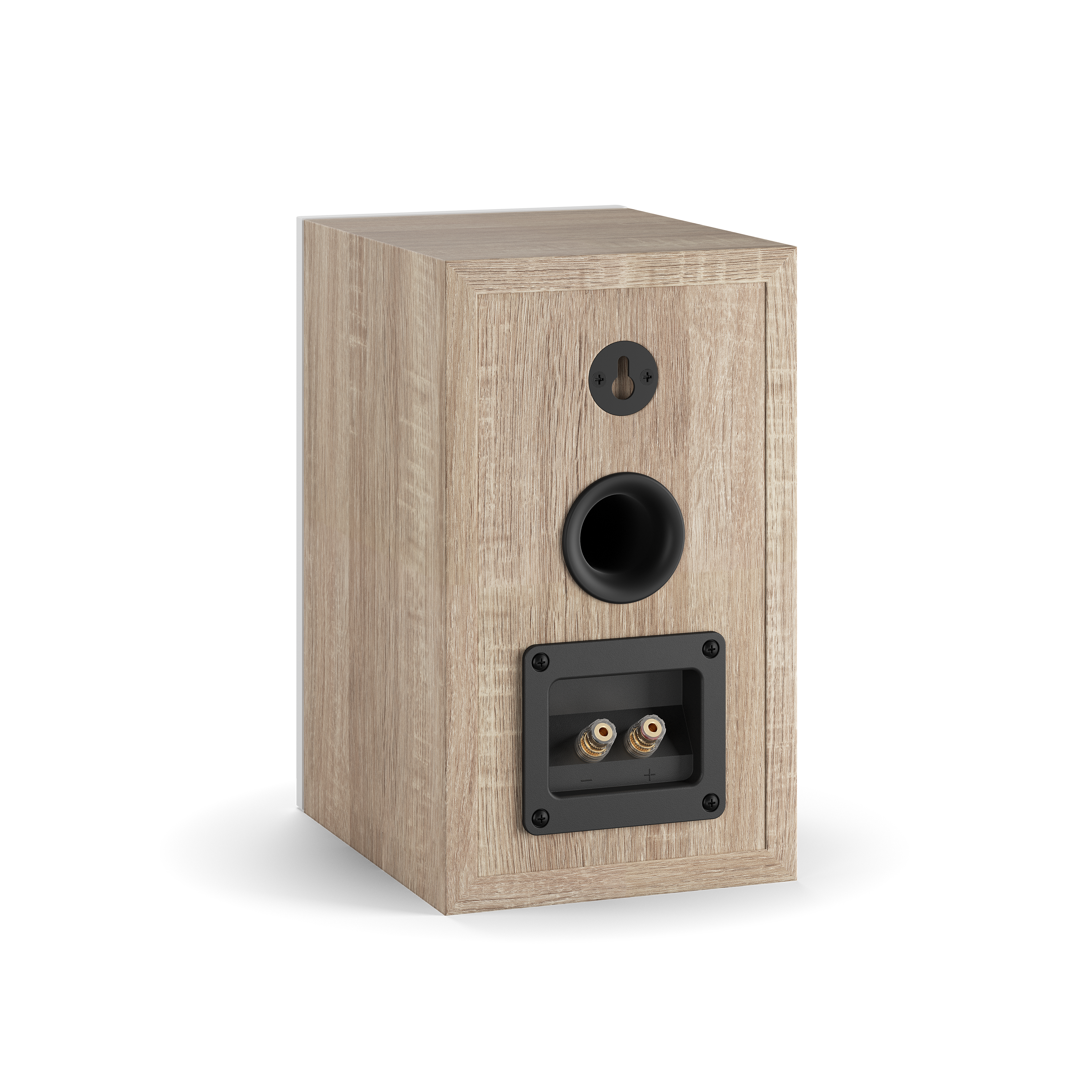 OBERON 1 | A bookshelf speaker for smaller rooms | DALI Loudspeakers