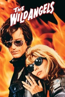 The Wild Angels | Rotten Tomatoes