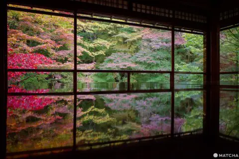 京都「瑠璃光院」。日本画のように美しい紅葉を愛でる - 日本の観光