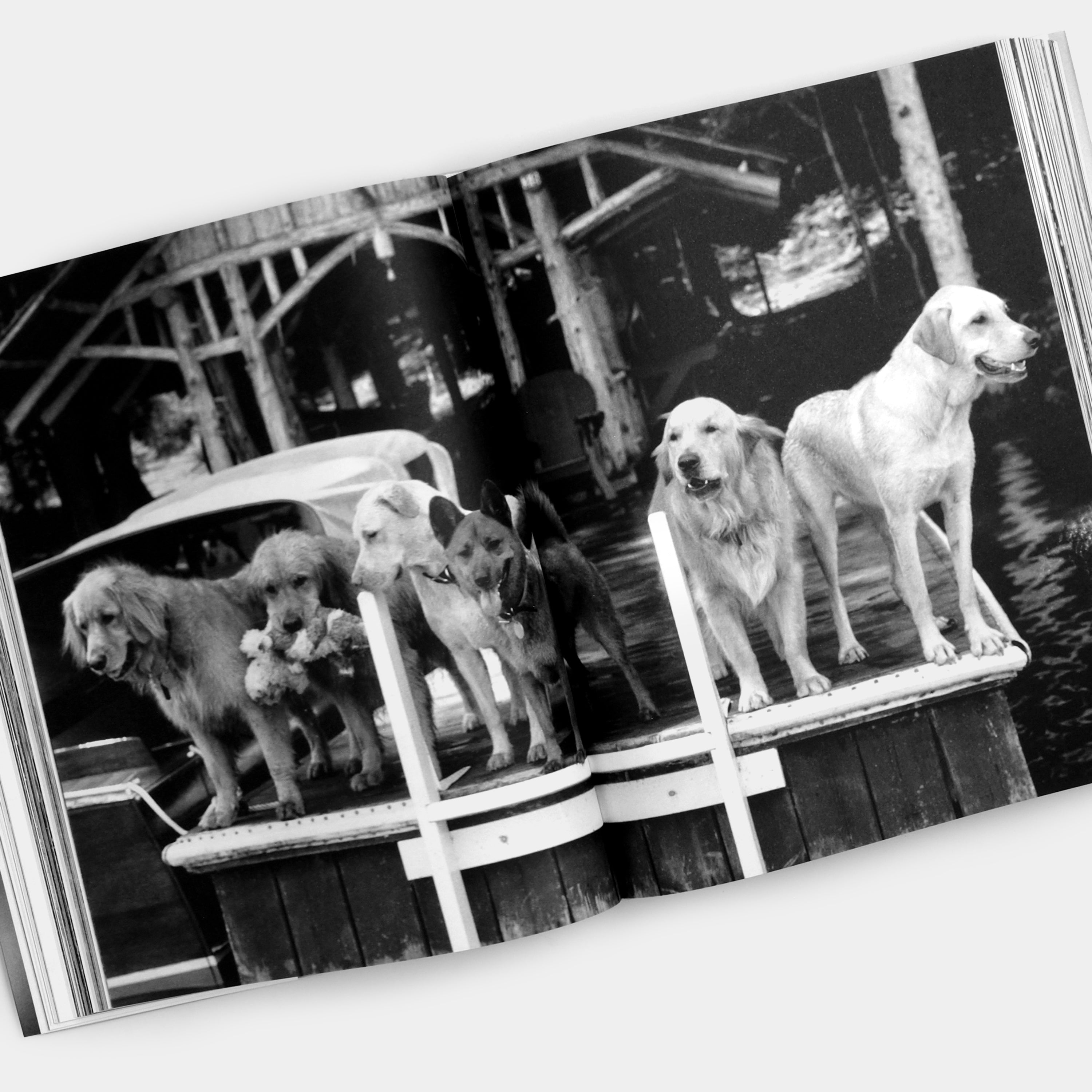 Bruce Weber. The Golden Retriever Photographic Society XL Taschen Book