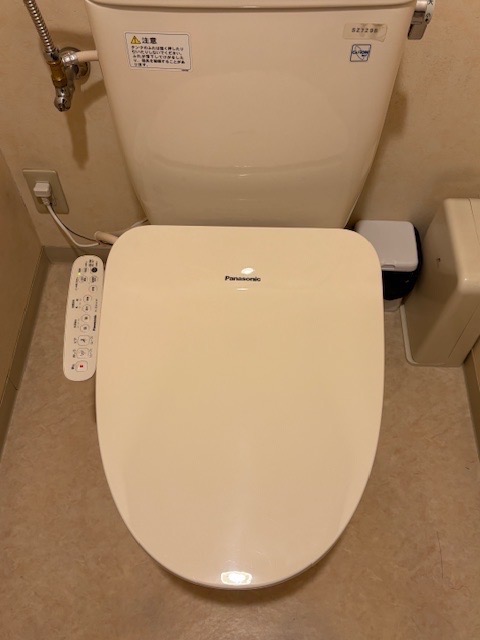 Panasonic ビューティ・トワレ DL-ESX10-CP （パステルアイボリー