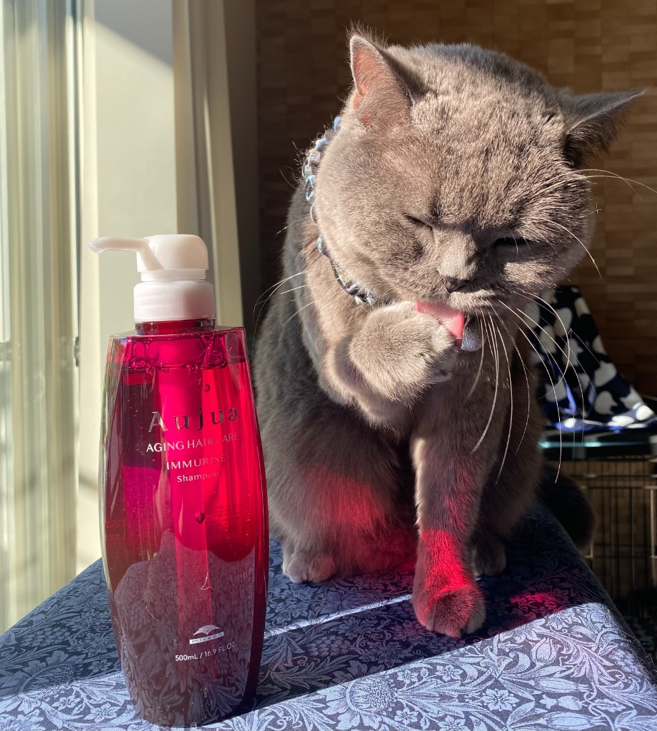 ミルボン オージュア イミュライズ シャンプー 500ml milbon aujua LSC