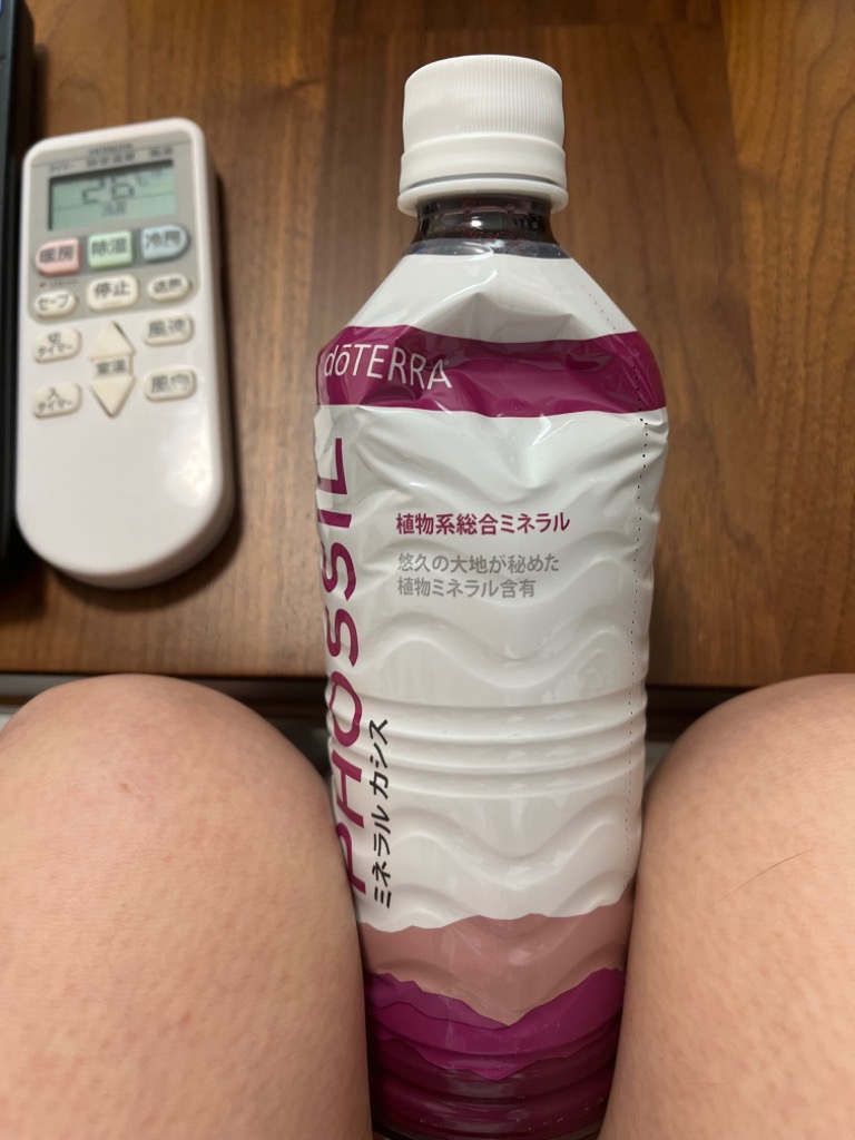 doTERRA（ドテラ） ミネラル カシス ＆ ピンクパイン 550ml×2本セット