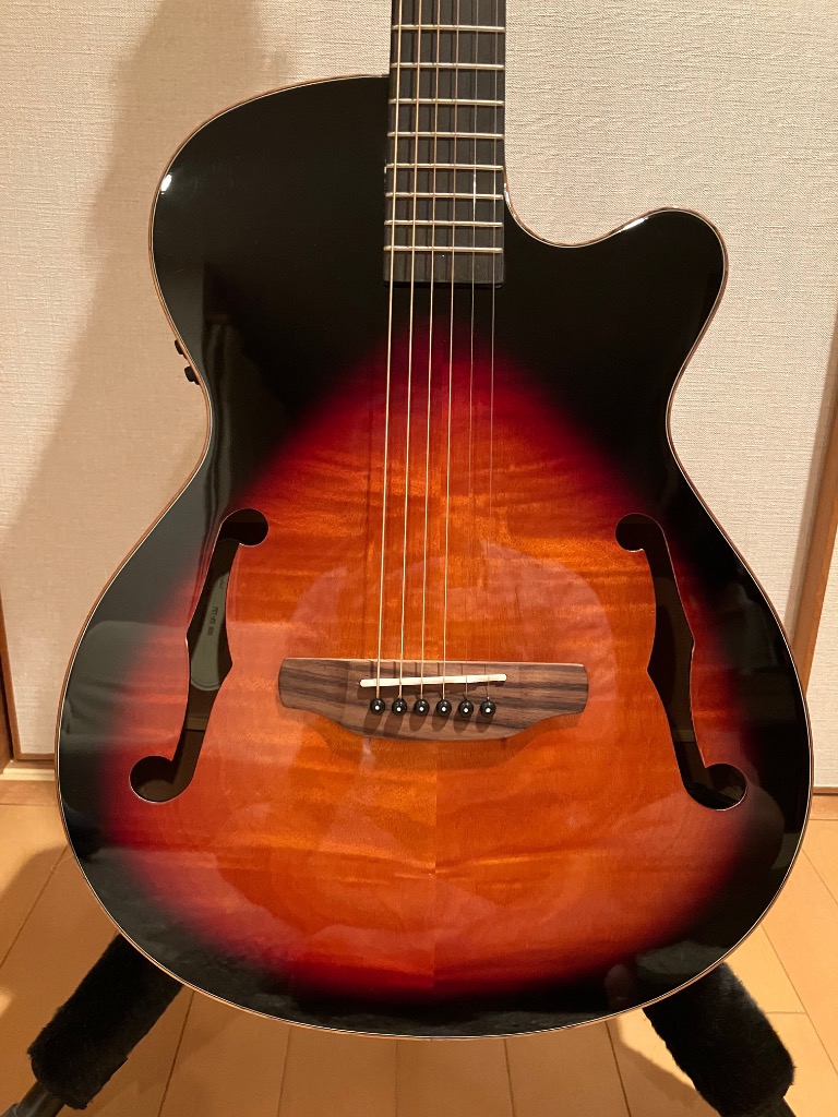 ARIA（アリア） ARIA FET-F2 BSG Fホールエレアコ アコースティック