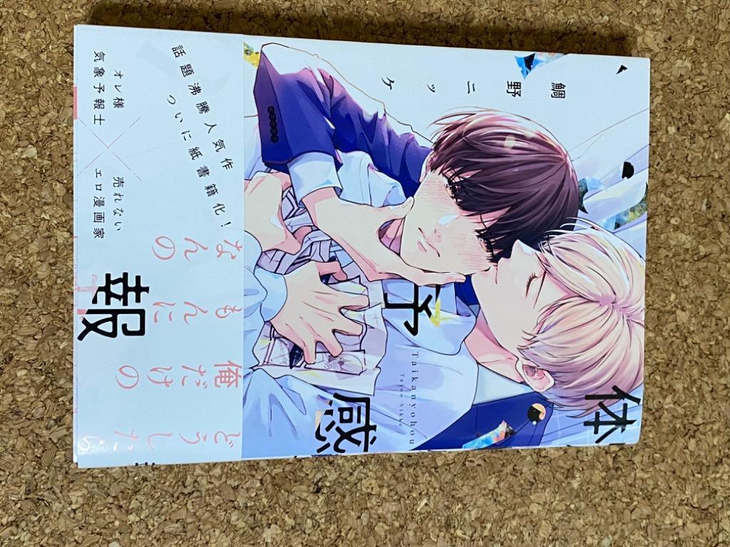 体感予報/鯛野ニッケ - 最安値・価格比較 - Yahoo!ショッピング