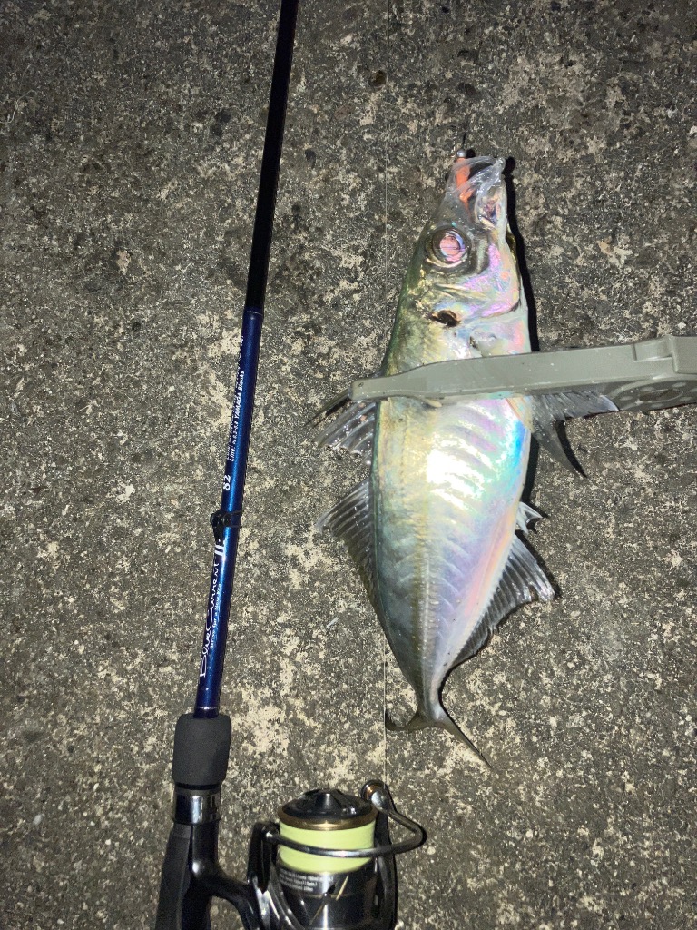 ヤマガブランクス ブルーカレント3 82 : 釣具のキャスティング ヤフー