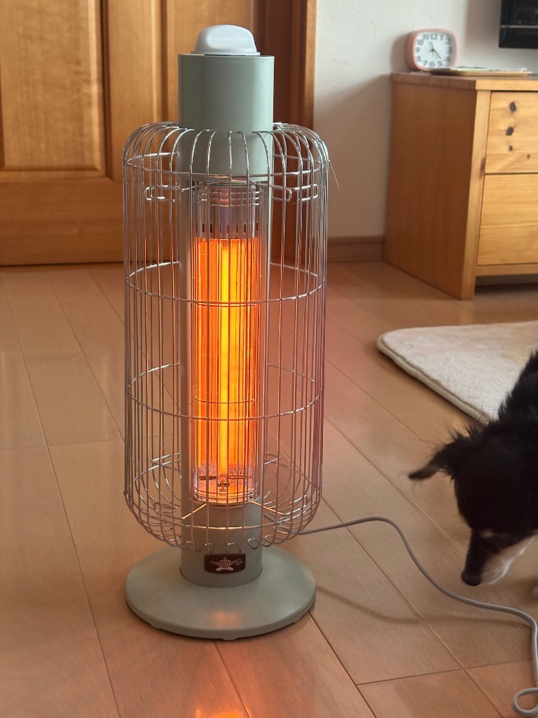 アラジン（Aladdin） 遠赤グラファイトヒーター CAH-G42GF/G（グリーン