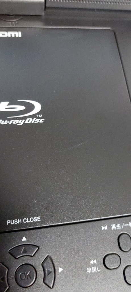 ダイニチ電子 Wizz 10.1インチ ポータブルブルーレイディスク DVD