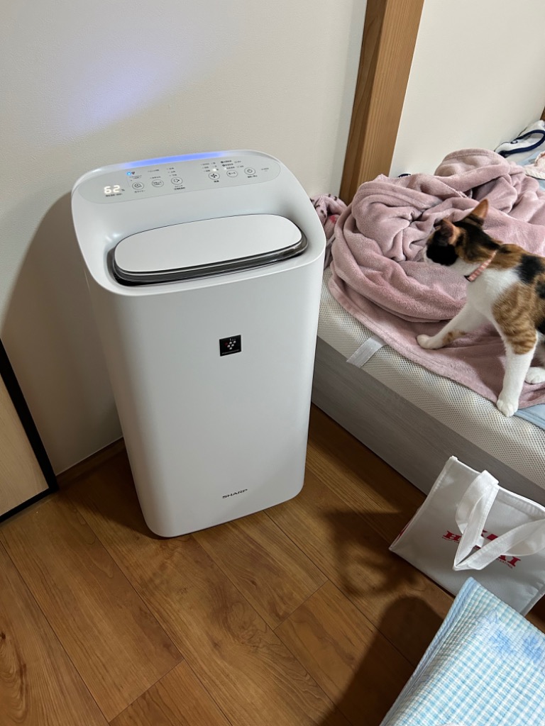 SHARP プラズマクラスター25000 除加湿空気清浄機 KI-SD50-W ホワイト