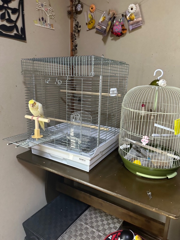 HOEI ホーエイ 465オカメ 底色 ホワイト 本体サイズ (幅X奥行X高さ