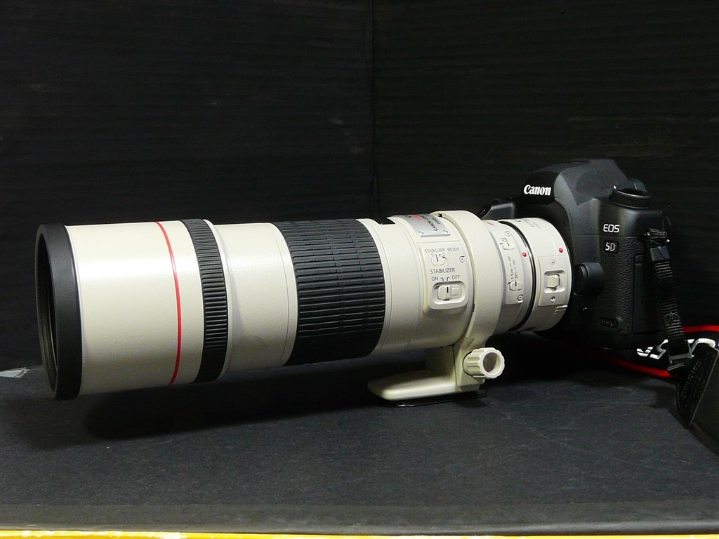 ズームレンズと迷いました』 CANON EF300mm F4L IS USM yoidore3さんの