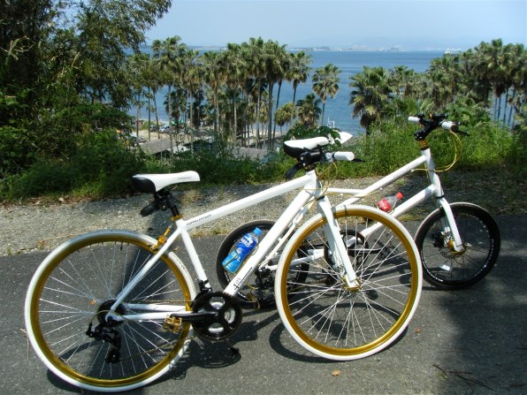 富士フイルム FinePix Z250fdで撮影された写真 (レビュー) - 価格.com