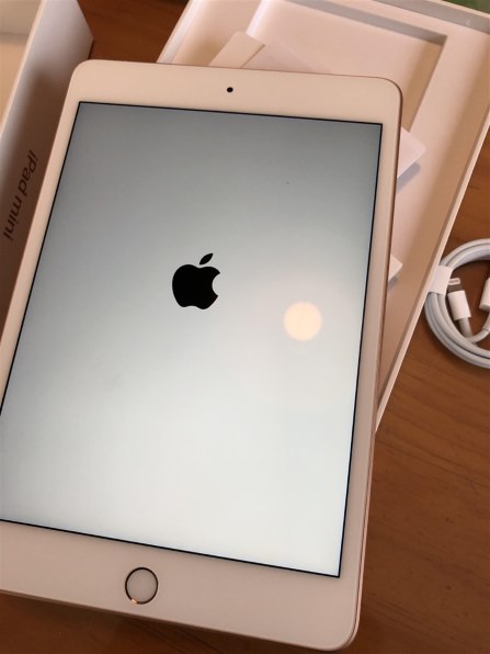 Apple iPad mini 7.9インチ 第5世代 Wi-Fi+Cellular 256GB 2019年春