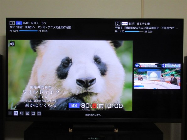 CANON PowerShot SX620 HS [ホワイト]で撮影された写真 (レビュー