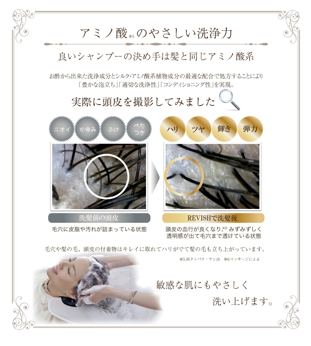 レヴィッシュ ViTA TiA | 株式会社レボル