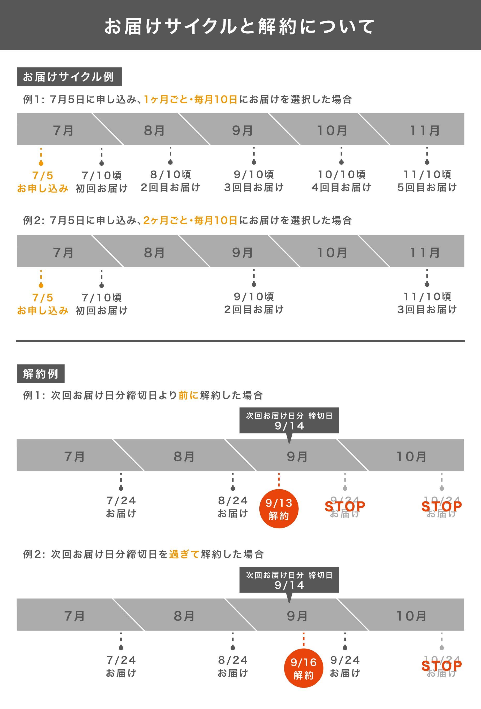 Scalp Set - ReZARD beauty