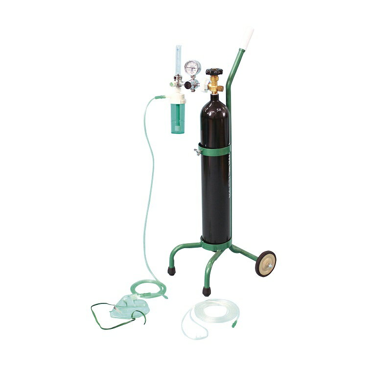 楽天市場】シェンペクス・インターナショナル シェンペクス 高濃度酸素