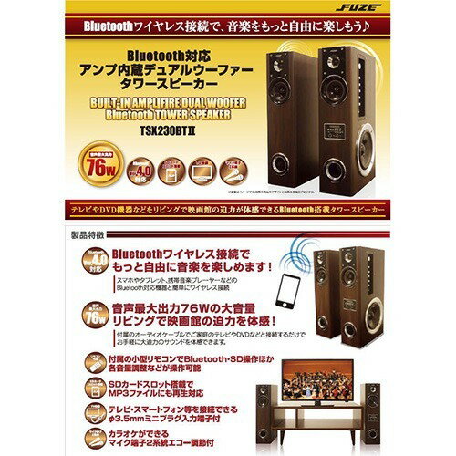 楽天市場】デレクト・ビュー FUZE Bluetooth対応 アンプ内蔵デゥアル