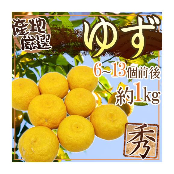 ゆず” 秀品 6～13玉 約1kg 産地厳選【予約 11月下旬以降】｜くらし快援