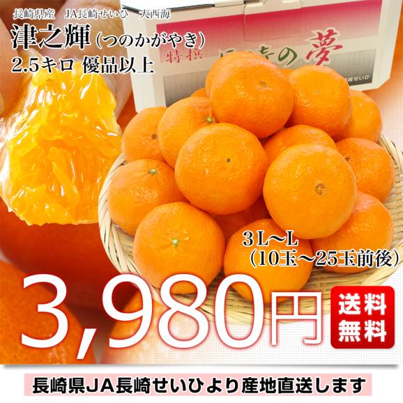 長崎県より産地直送 JA長崎せいひ 津之輝(つのかがやき) 3LからLサイズ