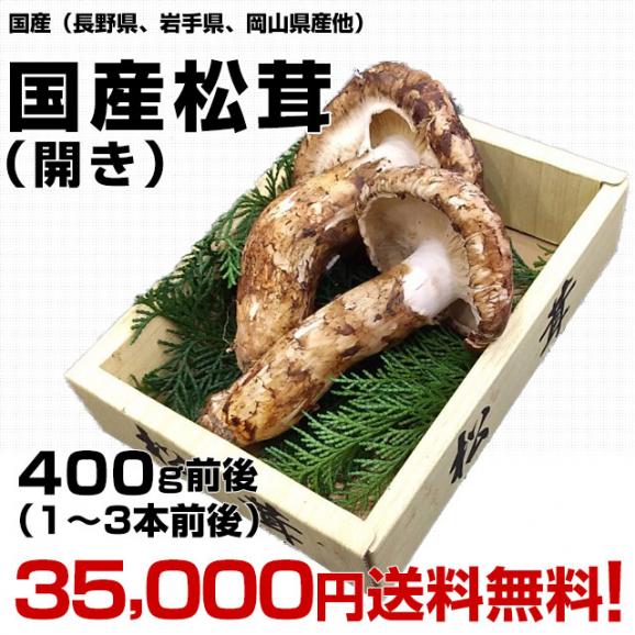 国産松茸（開き）400g前後（1本から3本前後）送料無料 クール便