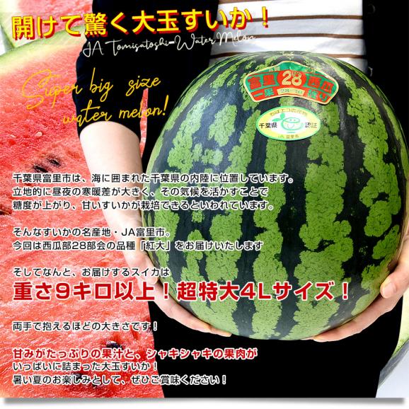 千葉県 JA富里市西瓜部28部会 大玉すいか（紅大）9キロ以上 4Lサイズ 1