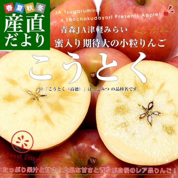 青森産 JA津軽みらい こうとく（高徳） 約1.8キロ (8玉から9玉) 送料