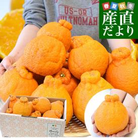 ハウス あすみ 愛知県産 JA蒲郡市 優〜秀 S〜L 約5kg 産地箱 風袋込