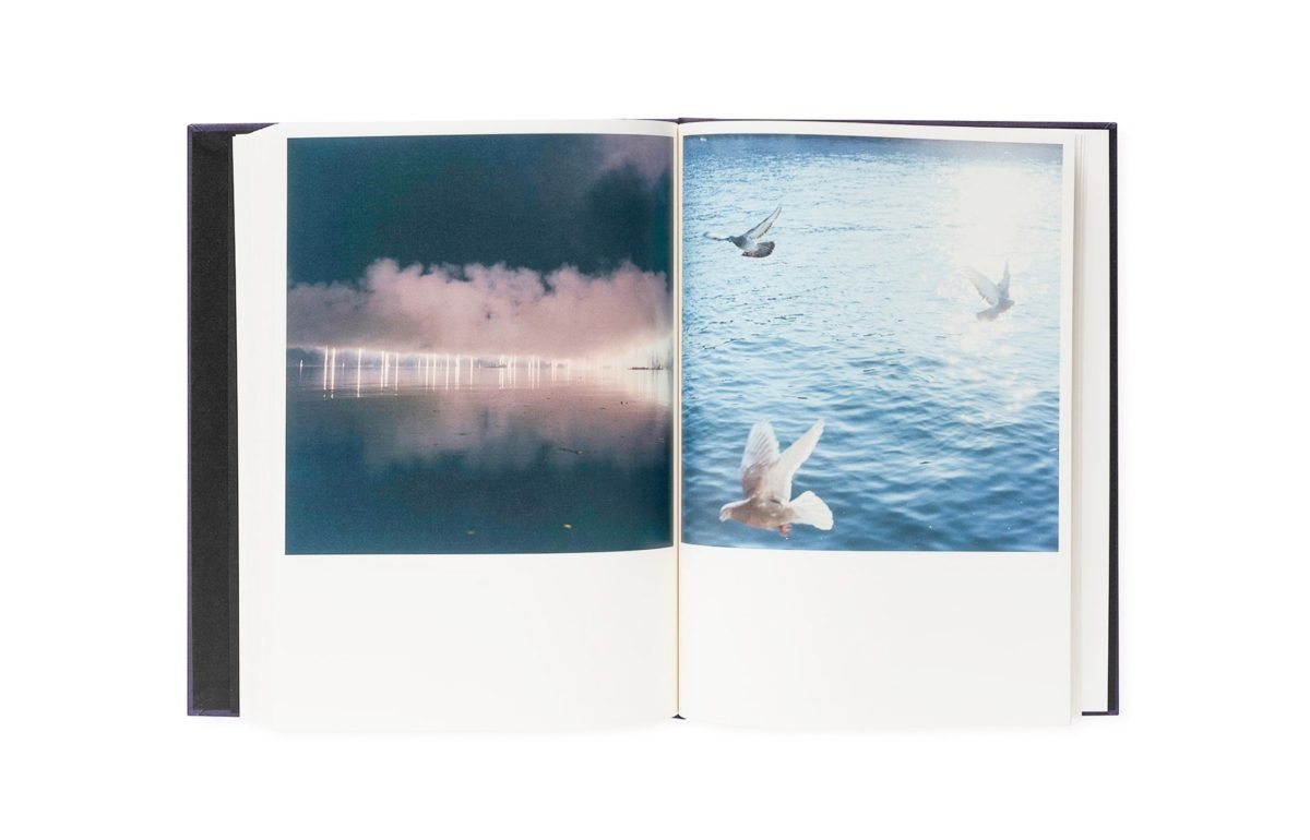 Rinko Kawauchi – 川内倫子 | Illuminance: The Tenth Anniversary