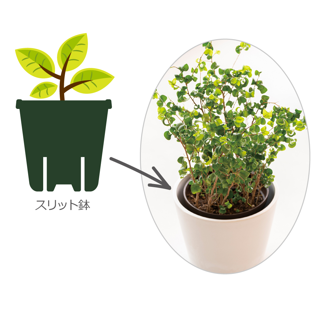 ボタニー ハイドポット 27型 | リッチェル公式ウェブショップ