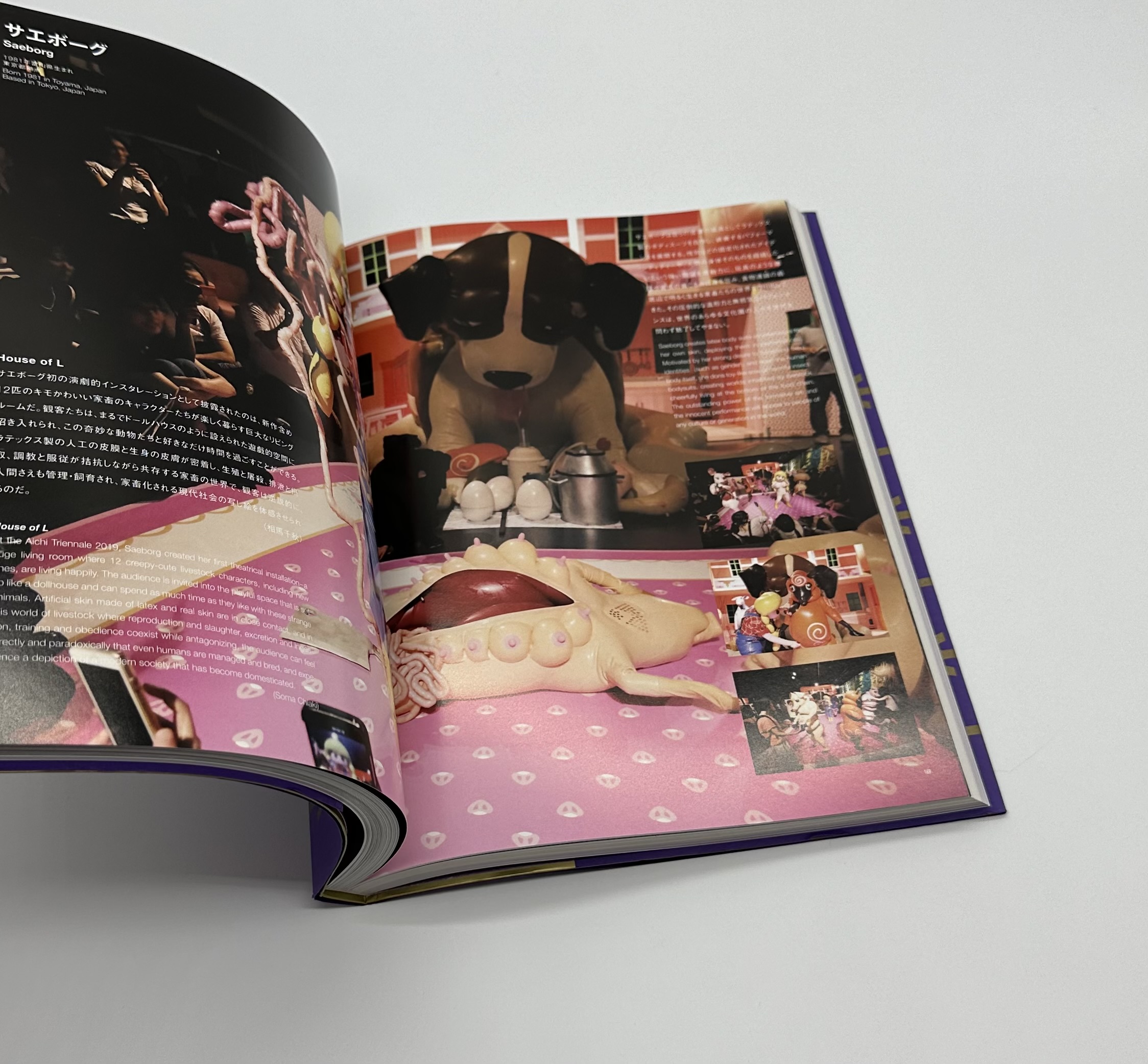 あいちトリエンナーレ2019 情の時代 AICHI TRIENNALE 2019 Taming Y